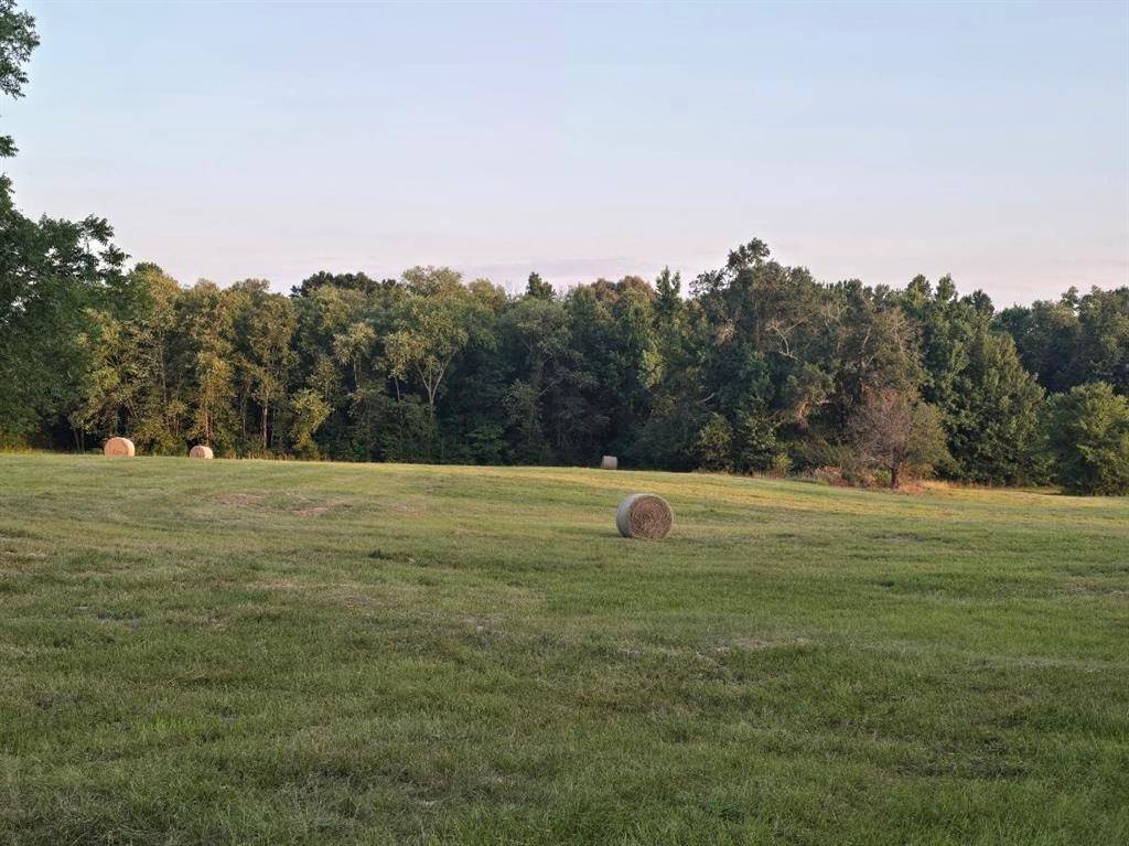 20086 County Road 299, Arp, TX 75750