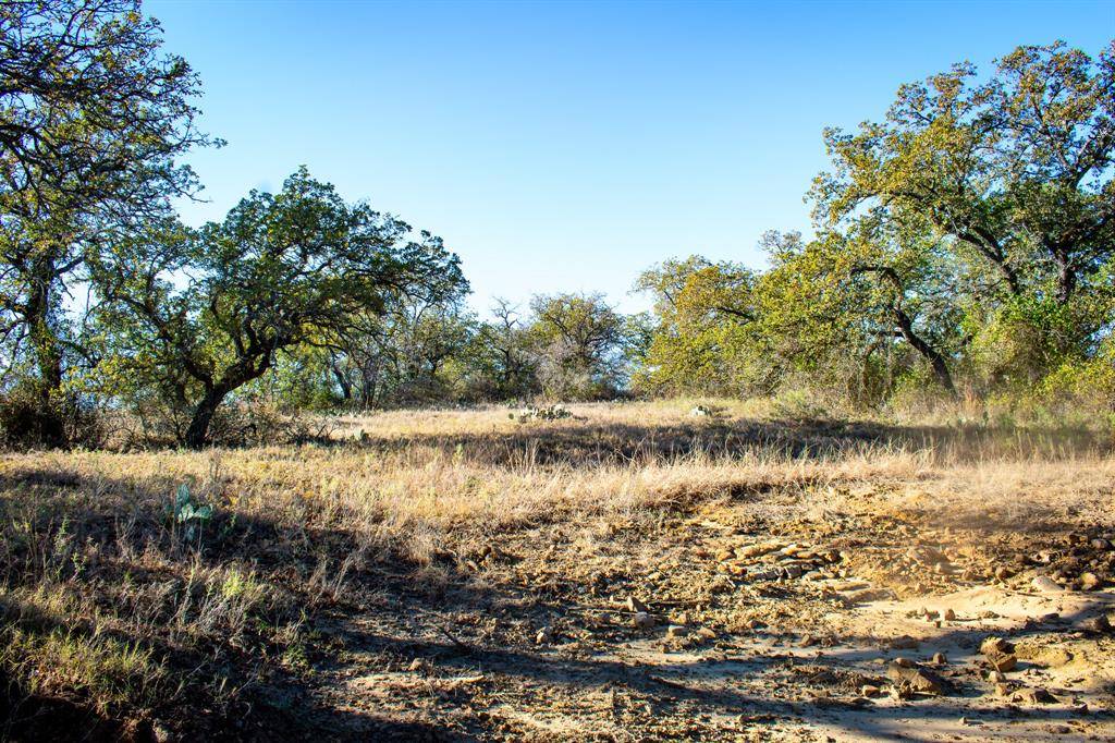TBD FM 45, San Saba, TX 76877
