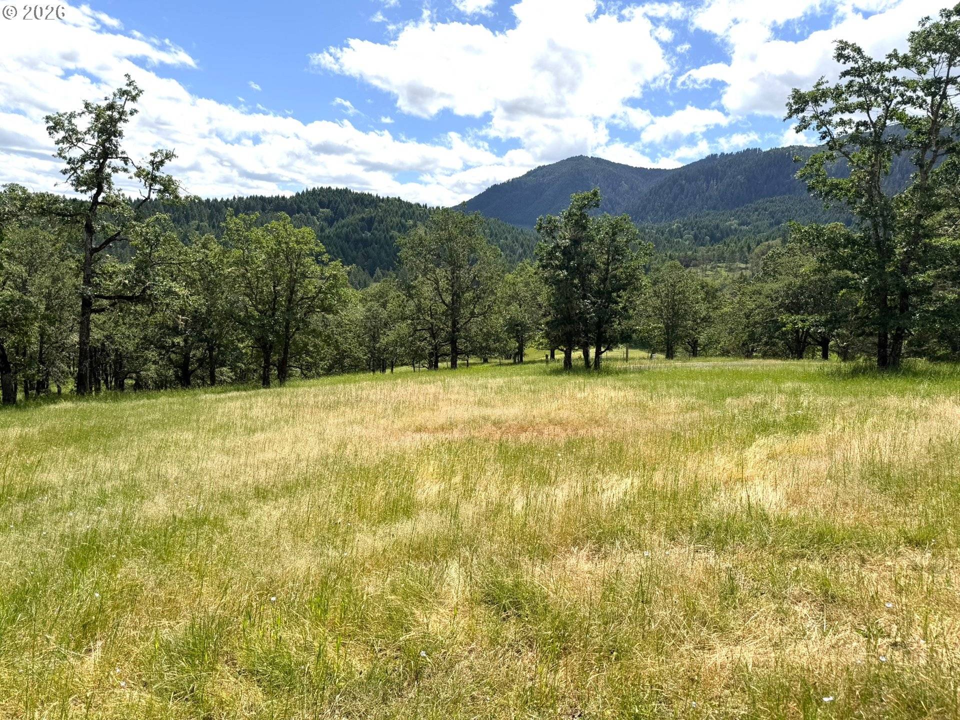 257 BOWLER LN, Oakland, OR 97462