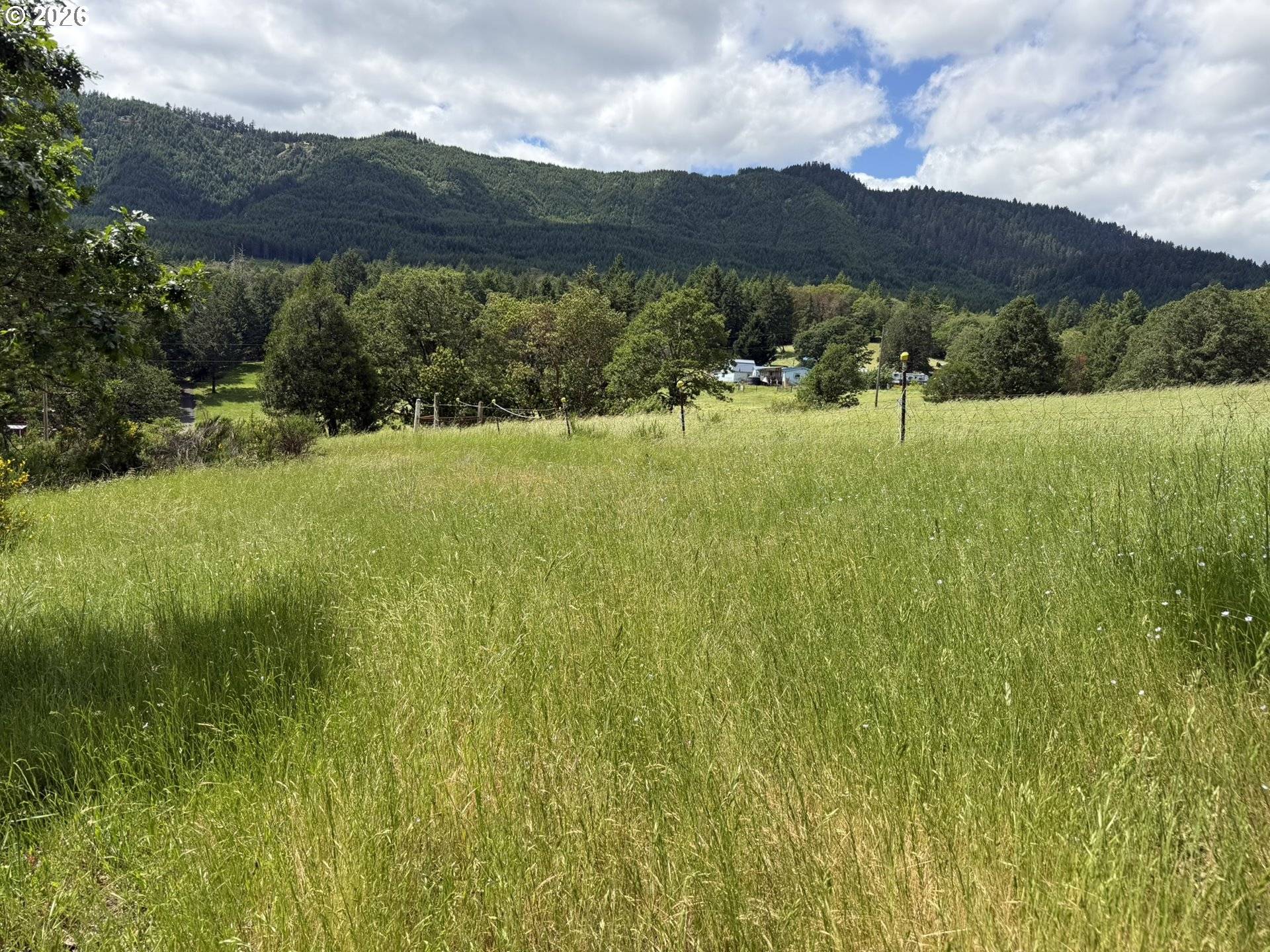 257 BOWLER LN, Oakland, OR 97462