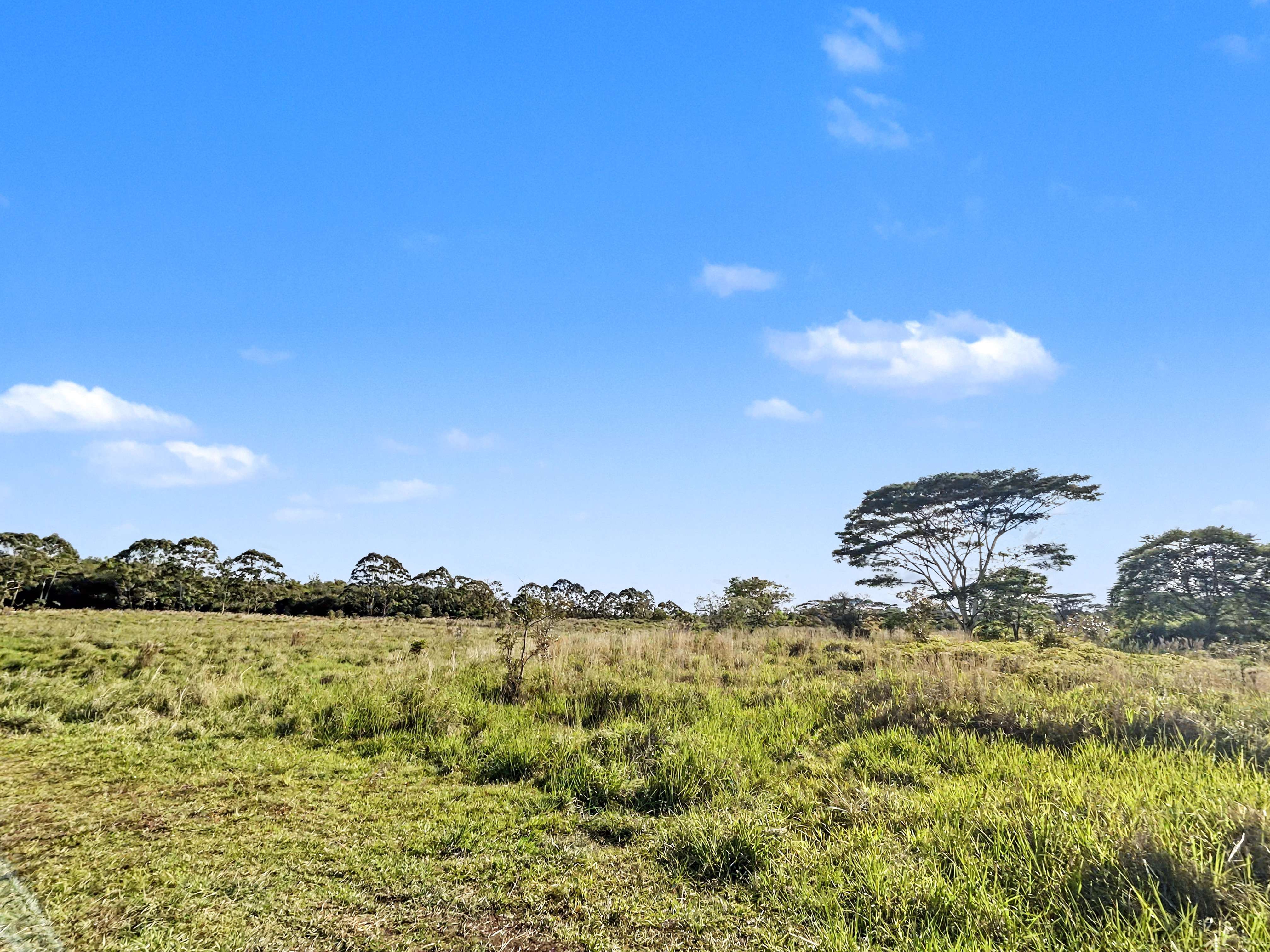 17-4800 SOUTH ROAD, Kurtistown, HI 96760