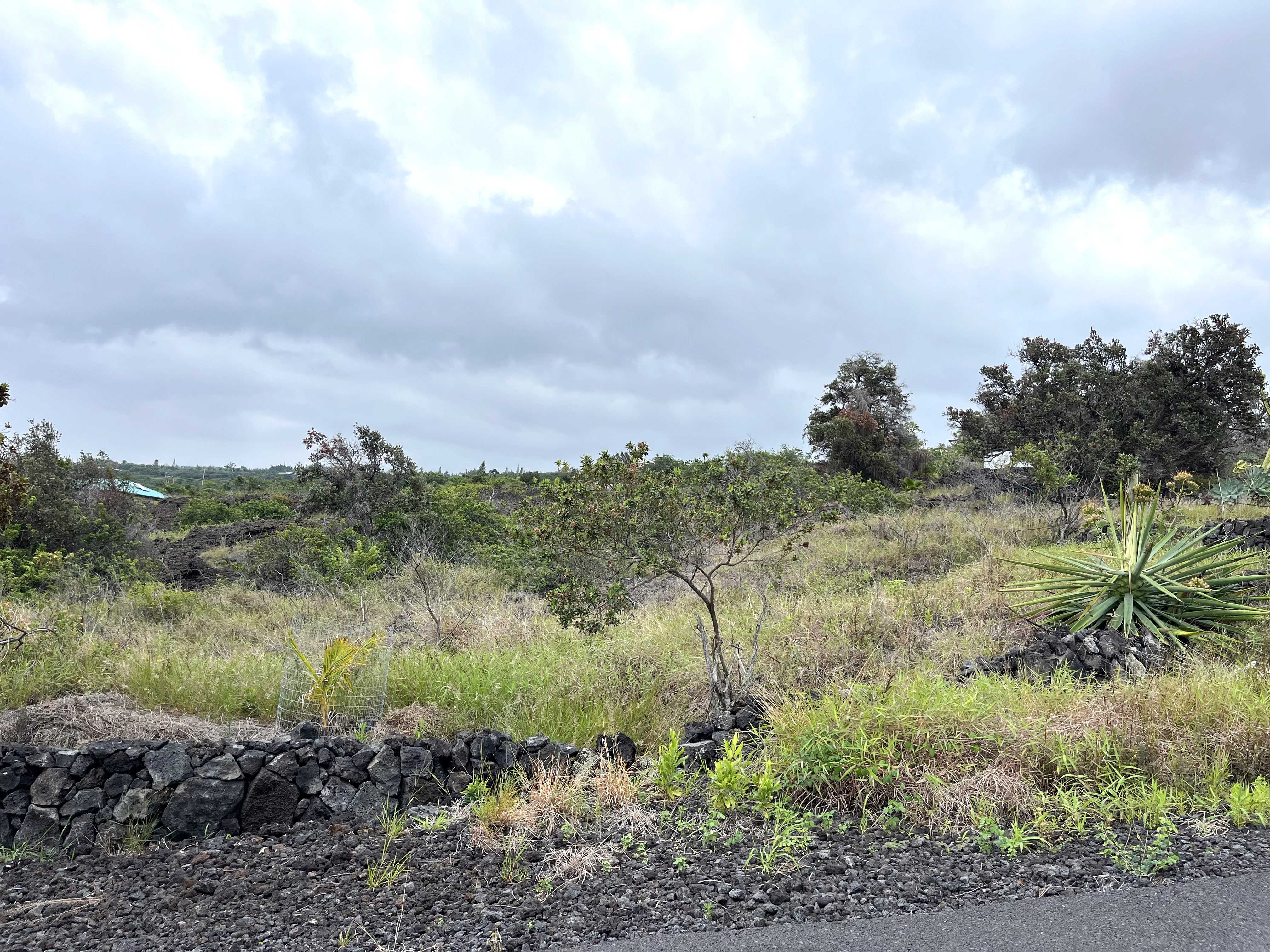 88-1484 AWAPUHI PL, Captain Cook, HI 96704