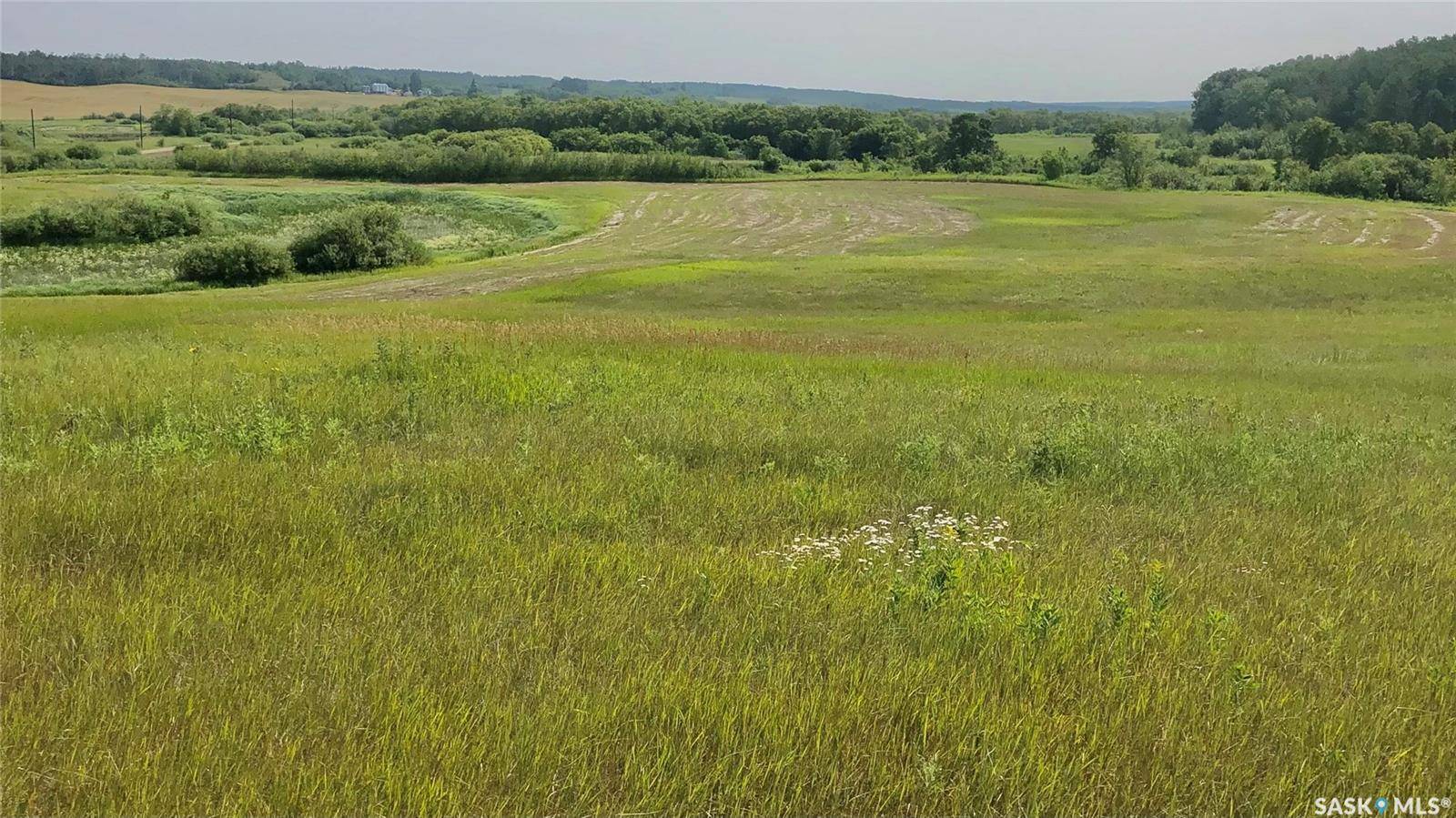 Rural Address, Livingston Rm No. 331, SK S0A 2Z0