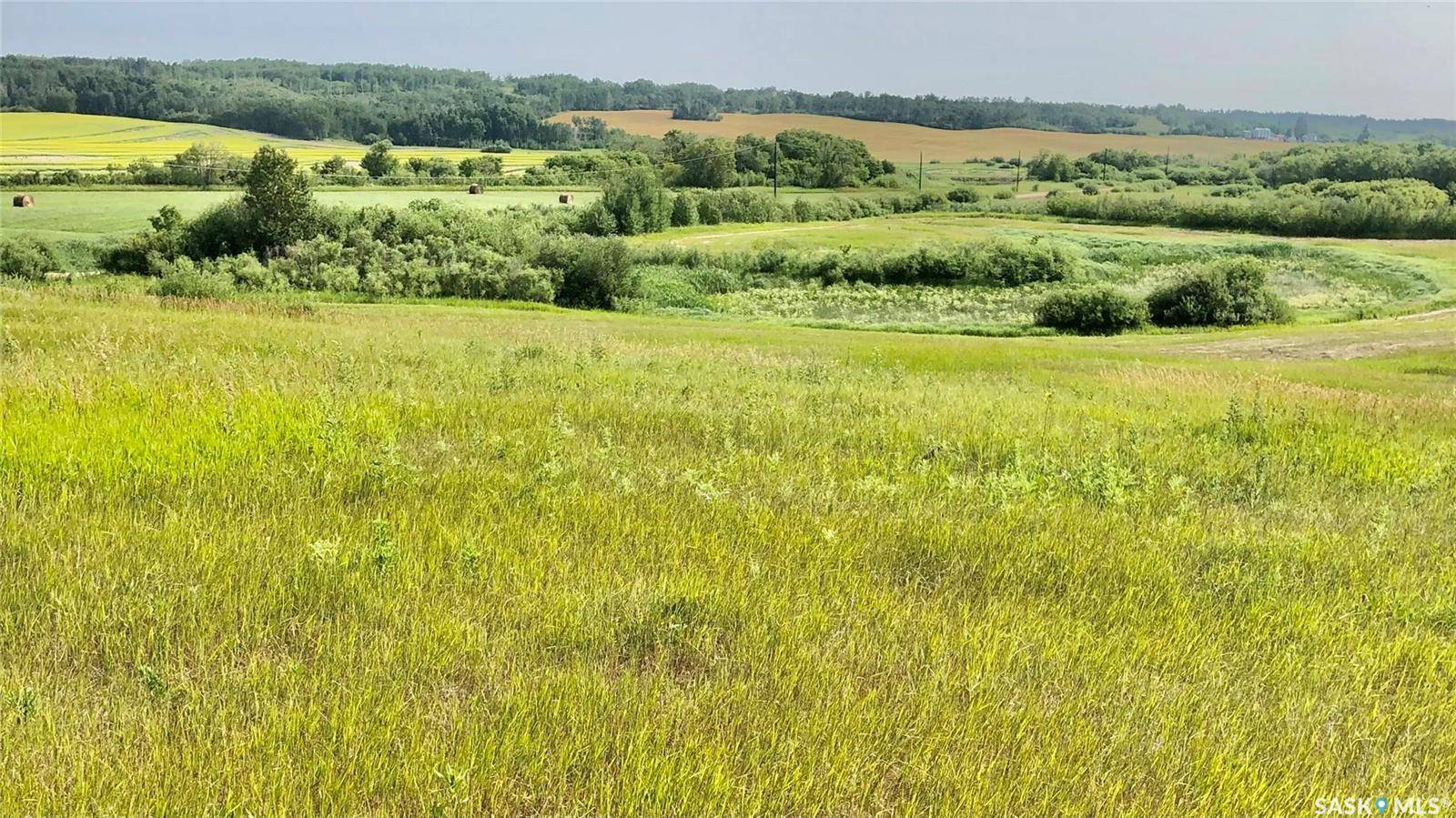 Rural Address, Livingston Rm No. 331, SK S0A 2Z0