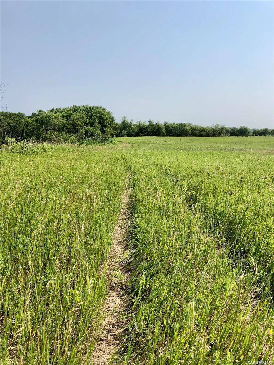 Rural Address, Livingston Rm No. 331, SK S0A 2Z0