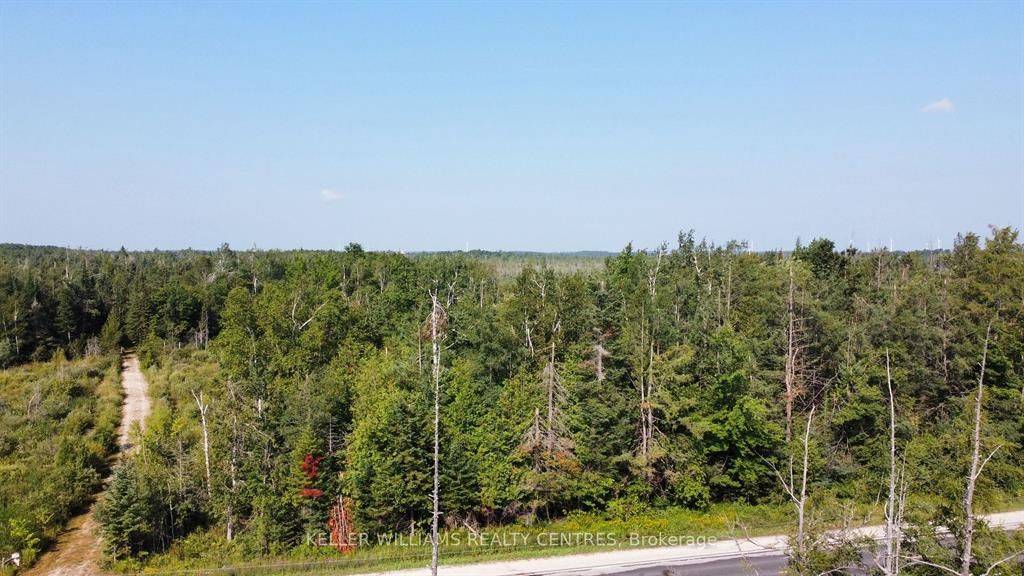 Pt LT 80 Grey Rd 124 Grey RD, Grey Highlands, ON N0C 1A0