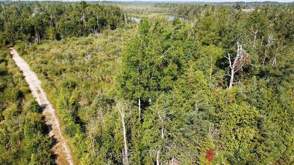 Pt LT 80 Grey Rd 124 Grey RD, Grey Highlands, ON N0C 1A0