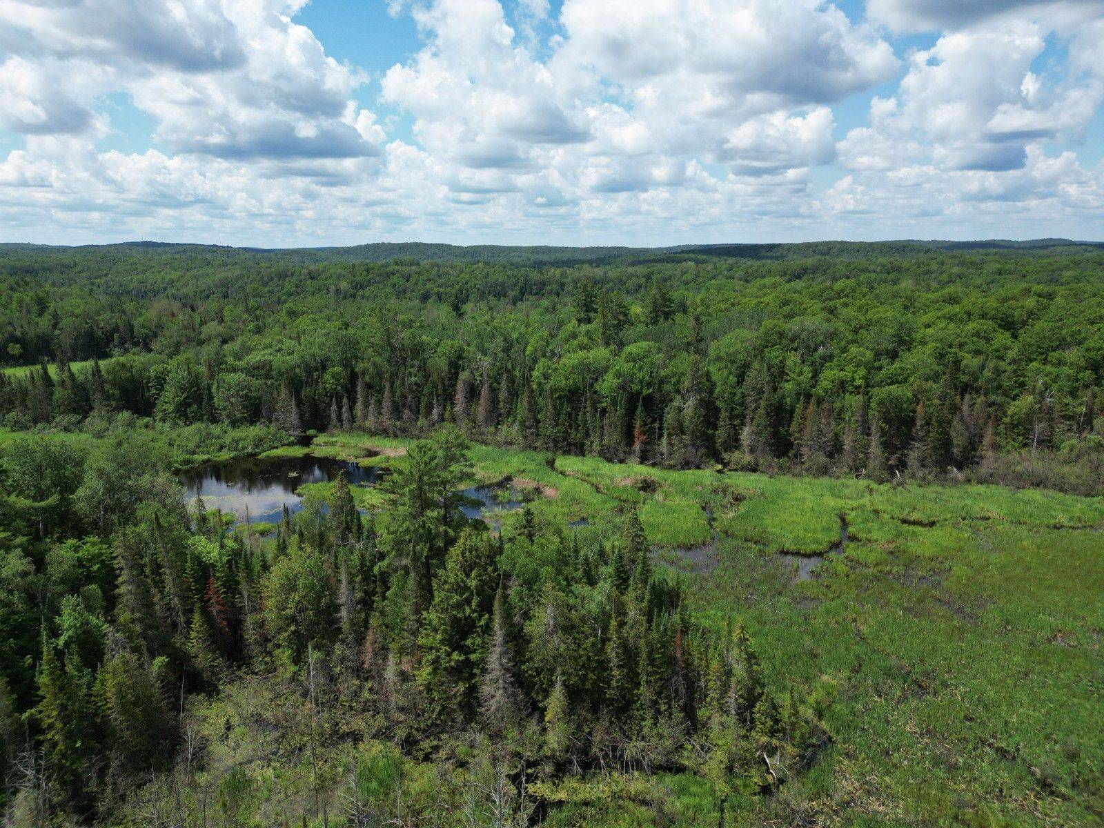 1419 Clement Lake RD, Highlands East, ON K0L 3C0