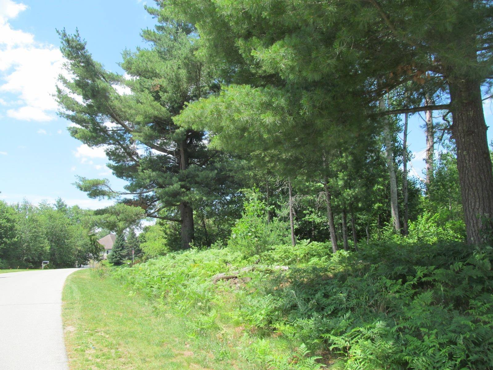 Lot 63 White Pine DR, Cherry Grove Twp, MI 49601