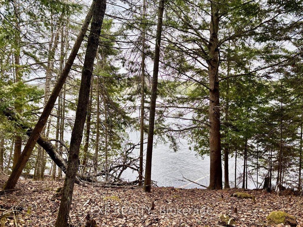 B Lot Arbor Vitae RD, Madawaska Valley, ON K0J 1B0
