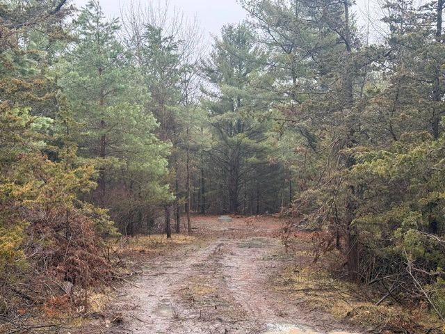 590 LOVE RD, Loyalist, ON K0H 2H0