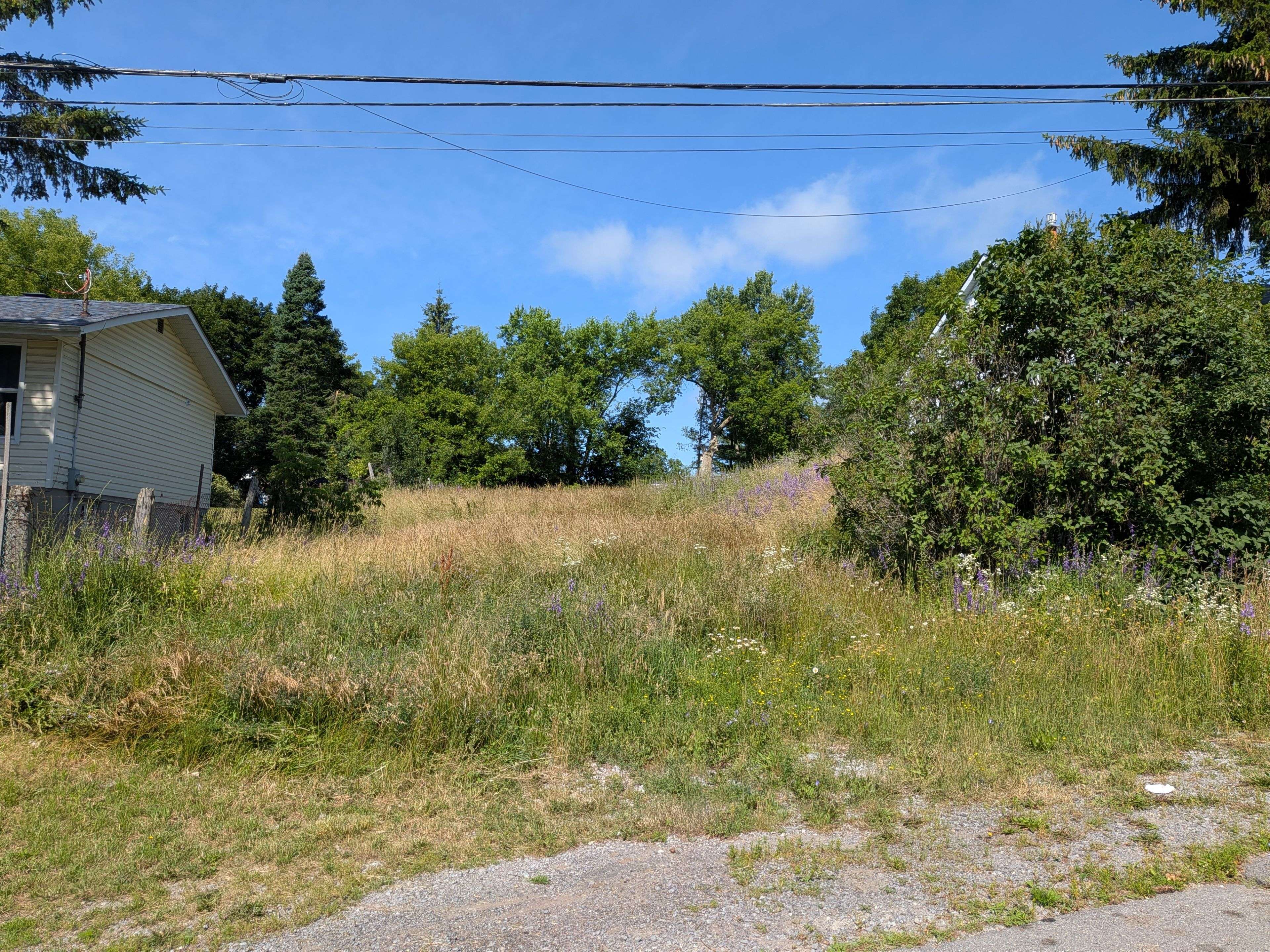 20 Shaw ST, Kingston, ON K7K 4Y4