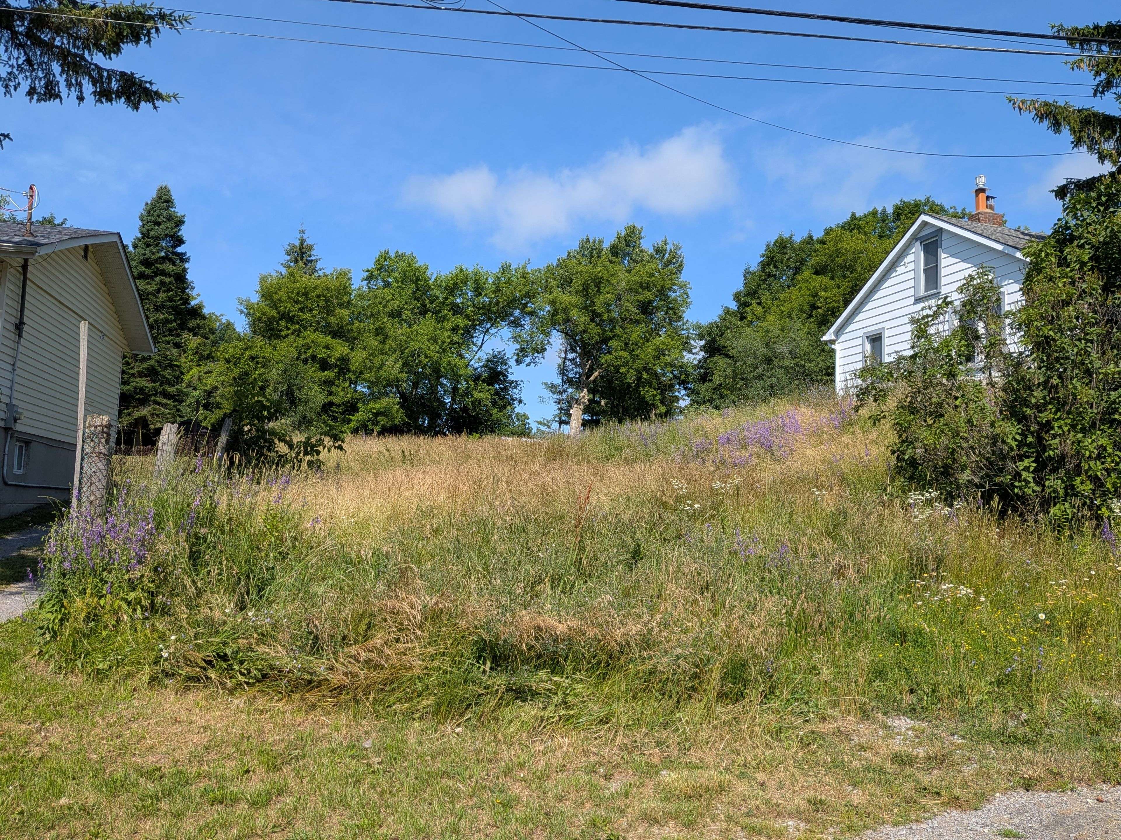 20 Shaw ST, Kingston, ON K7K 4Y4