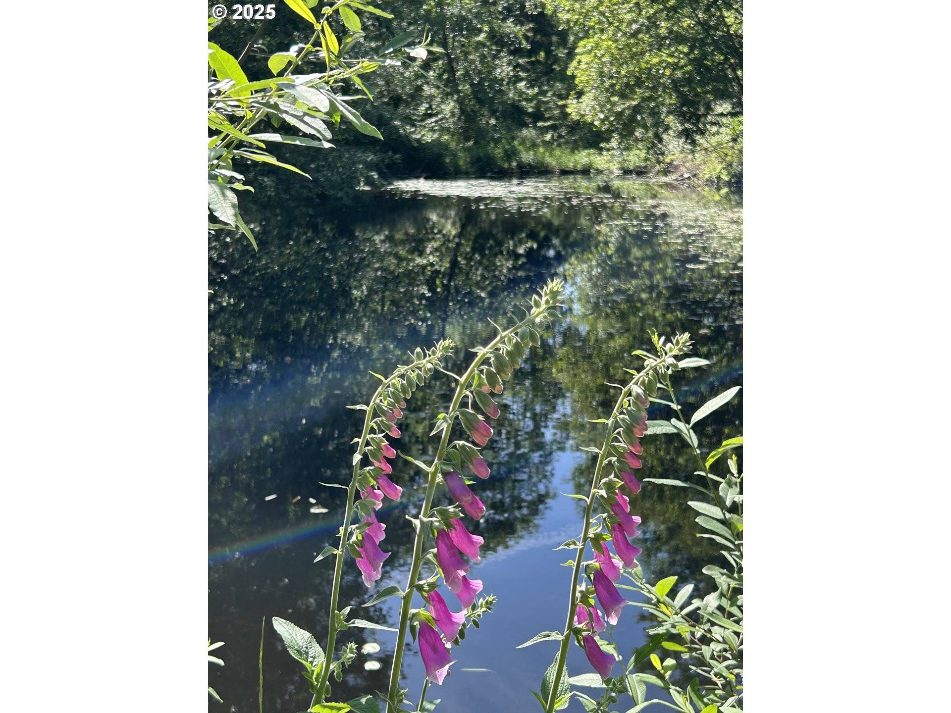 1 E Brightwood Loop RD, Brightwood, OR 97011