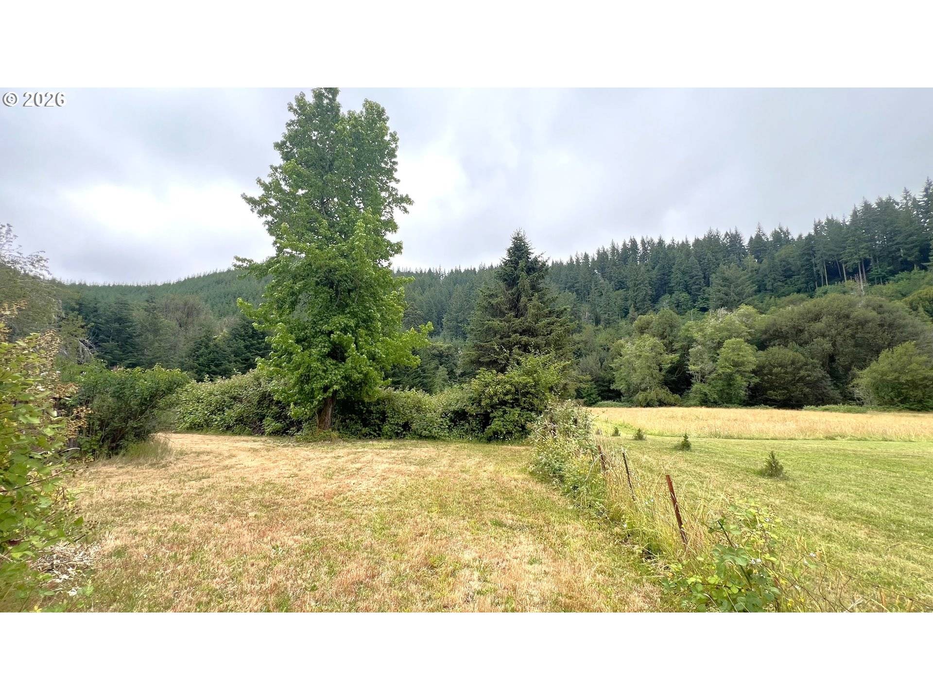 10082 LONE PINE LN, Myrtle Point, OR 97458
