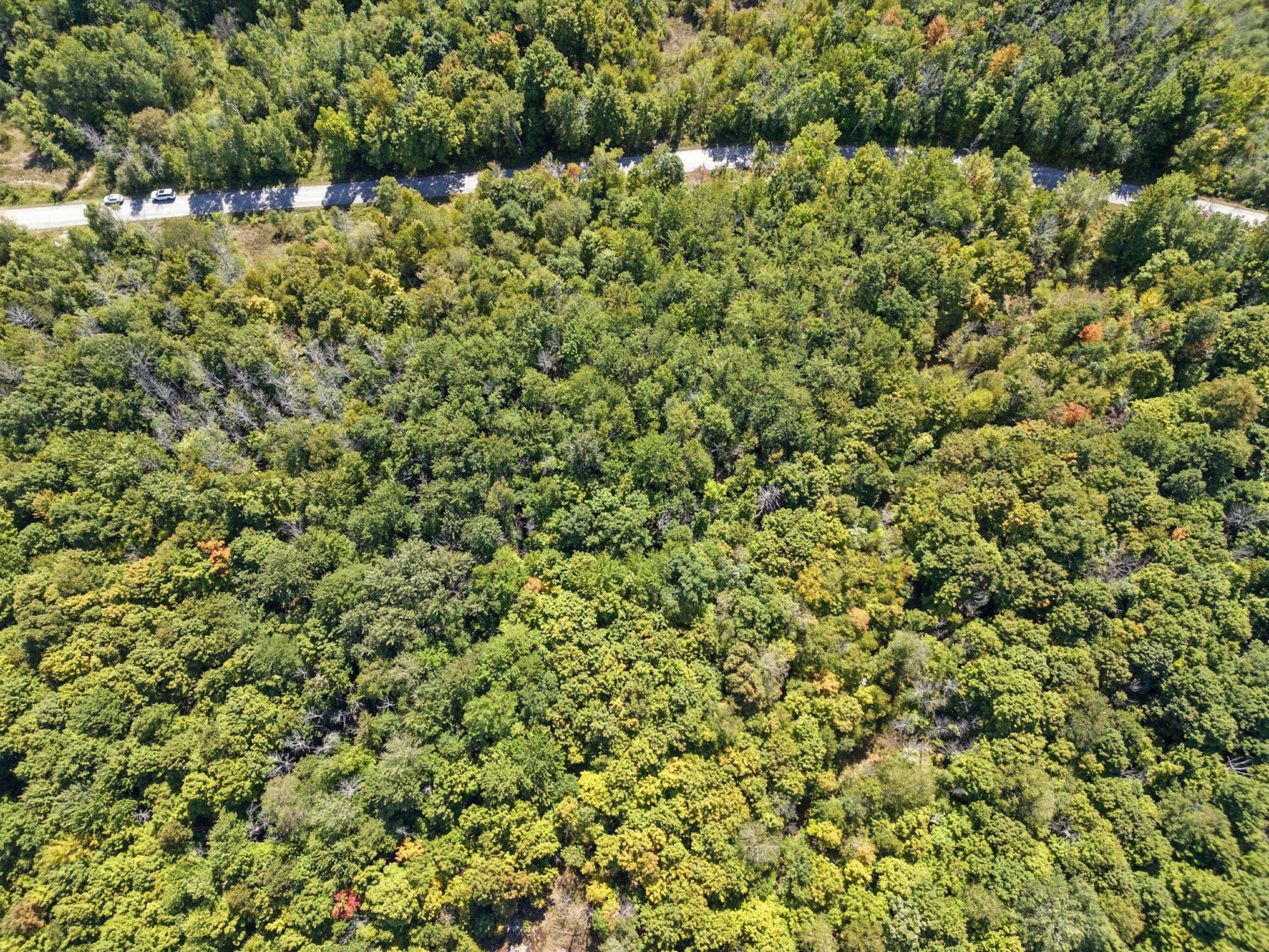310 Ebbs Bay RD, Drummond/north Elmsley, ON K7C 4K8