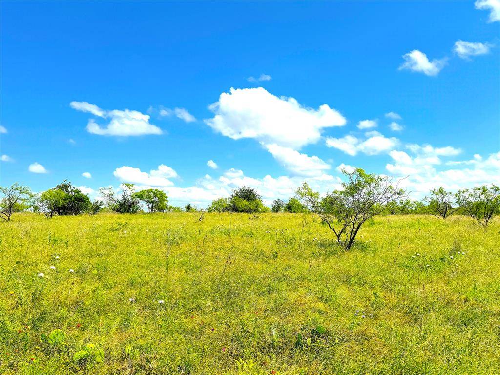 2121 Fm-52, Weatherford, TX 76088