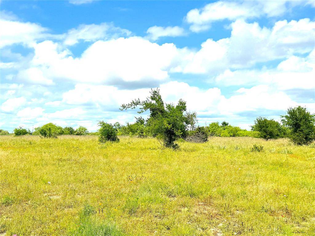 1020 Goodnight Trail, Perrin, TX 76486