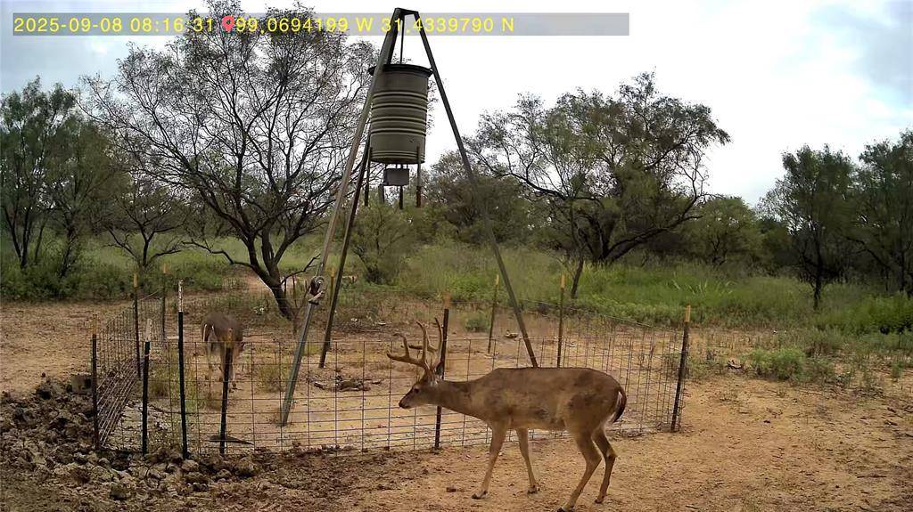 950 County Road 442, Mercury, TX 76872