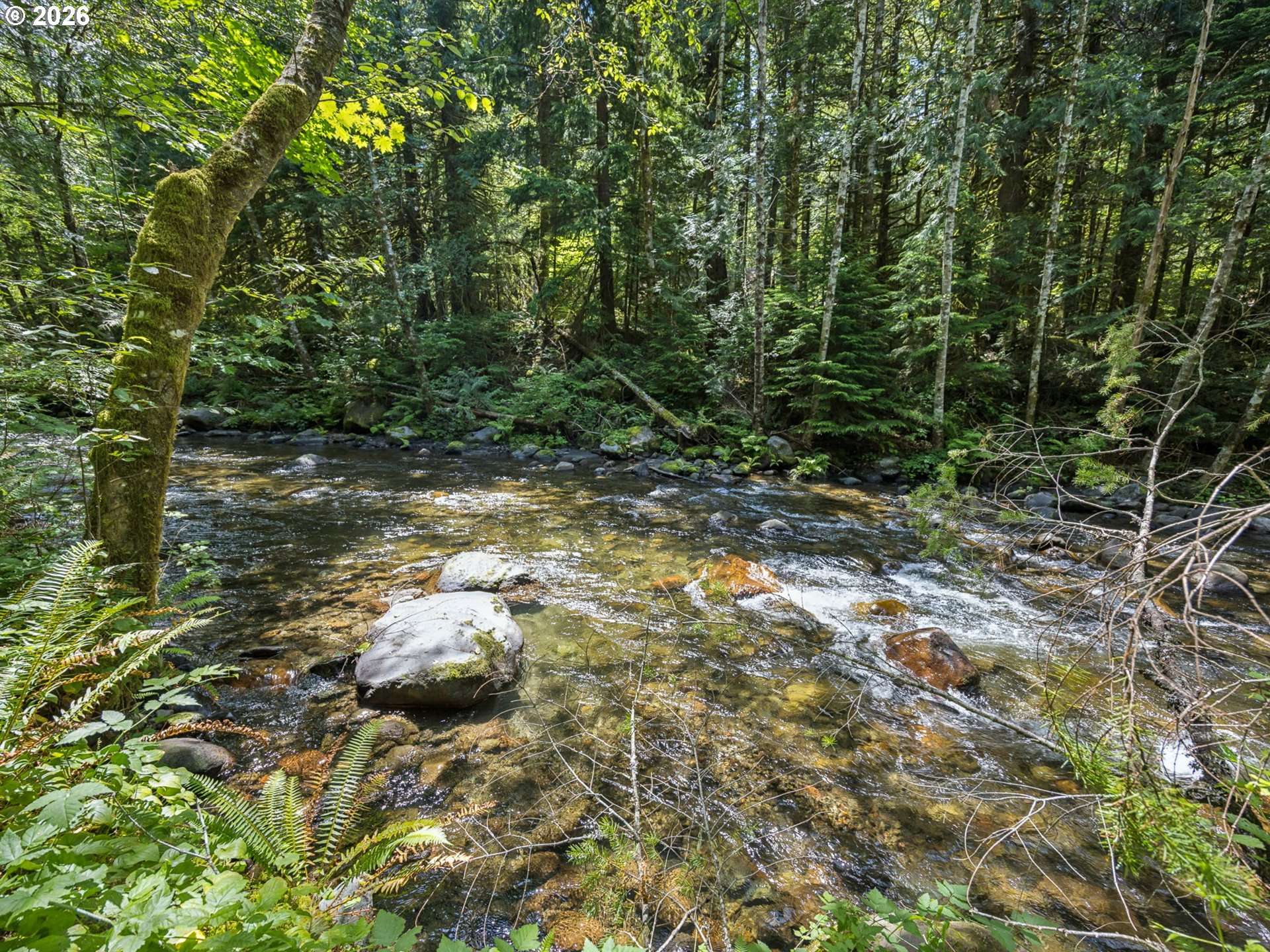 26845 E ROLLING RIFFLE LN, Rhododendron, OR 97049