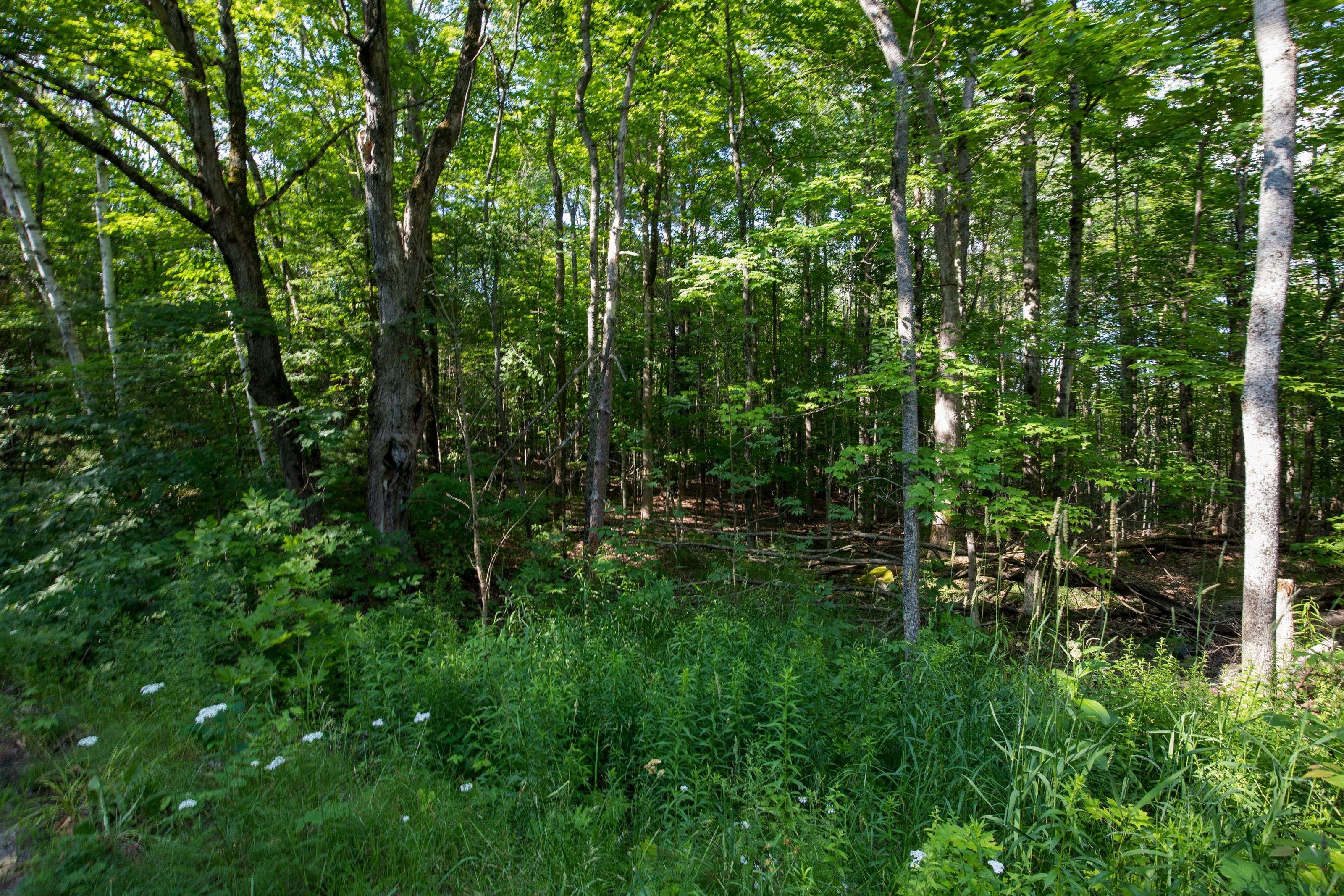0 Walkers Point RD N, Muskoka Lakes, ON P1P 1R2