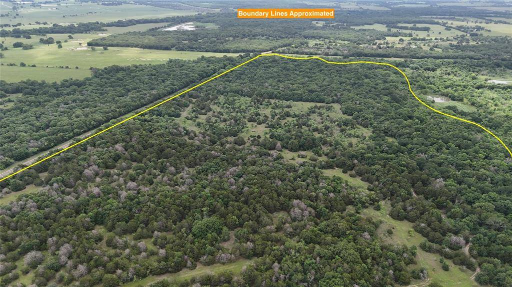 TBD 125 Acres FM 642, Purdon, TX 76679