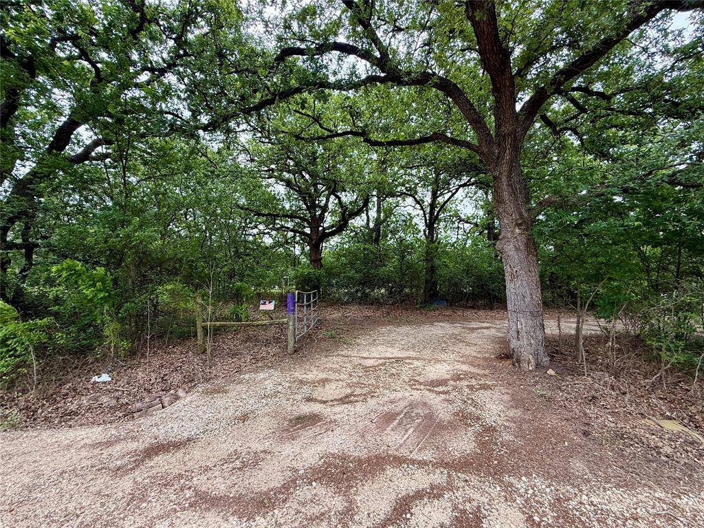 TBD 125 Acres FM 642, Purdon, TX 76679