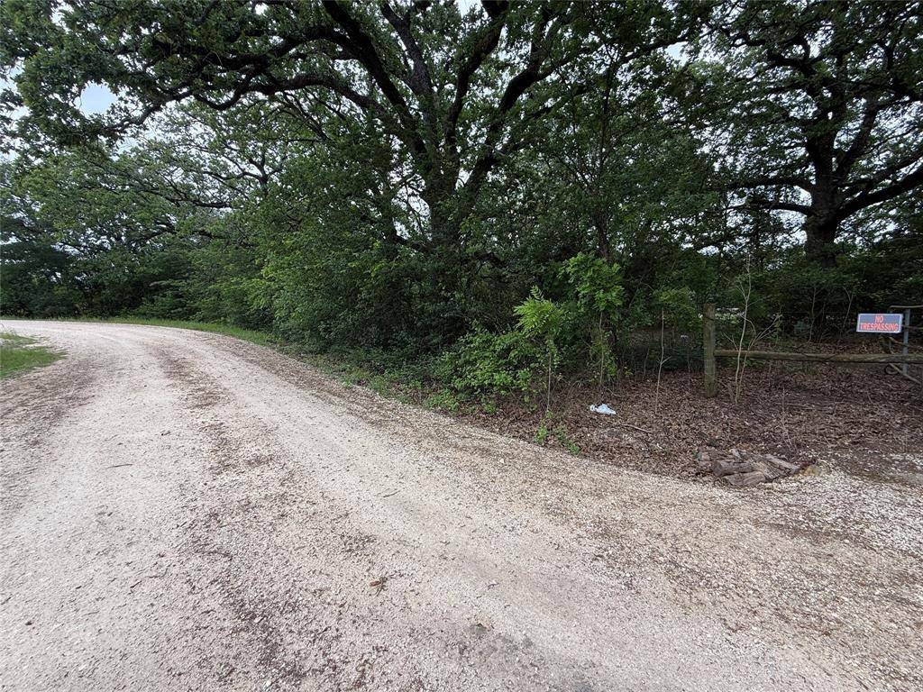 TBD 125 Acres FM 642, Purdon, TX 76679