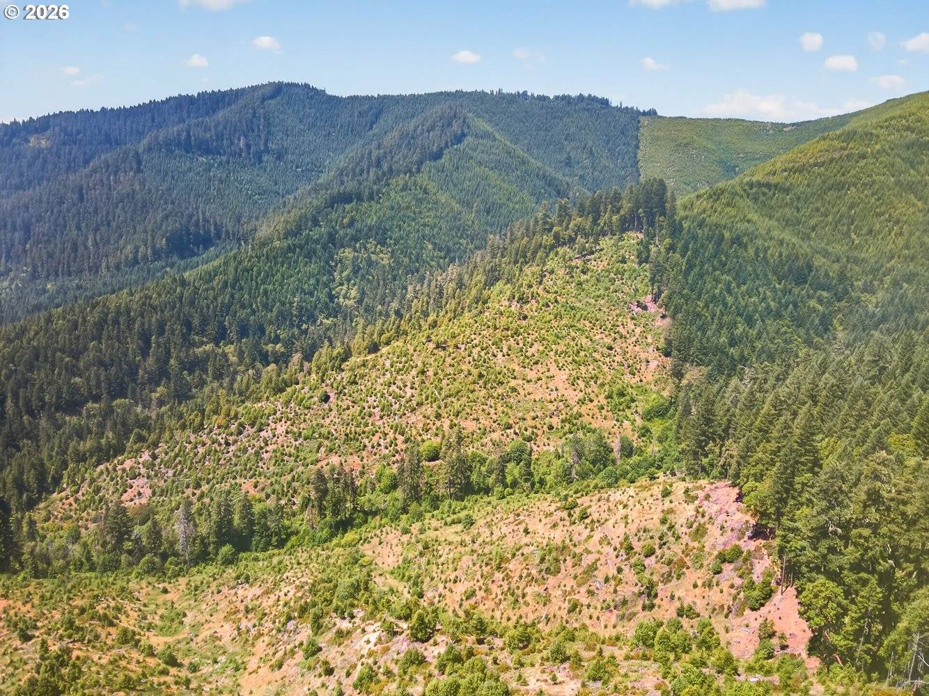 0 Upper Cow Creek RD, Azalea, OR 97410