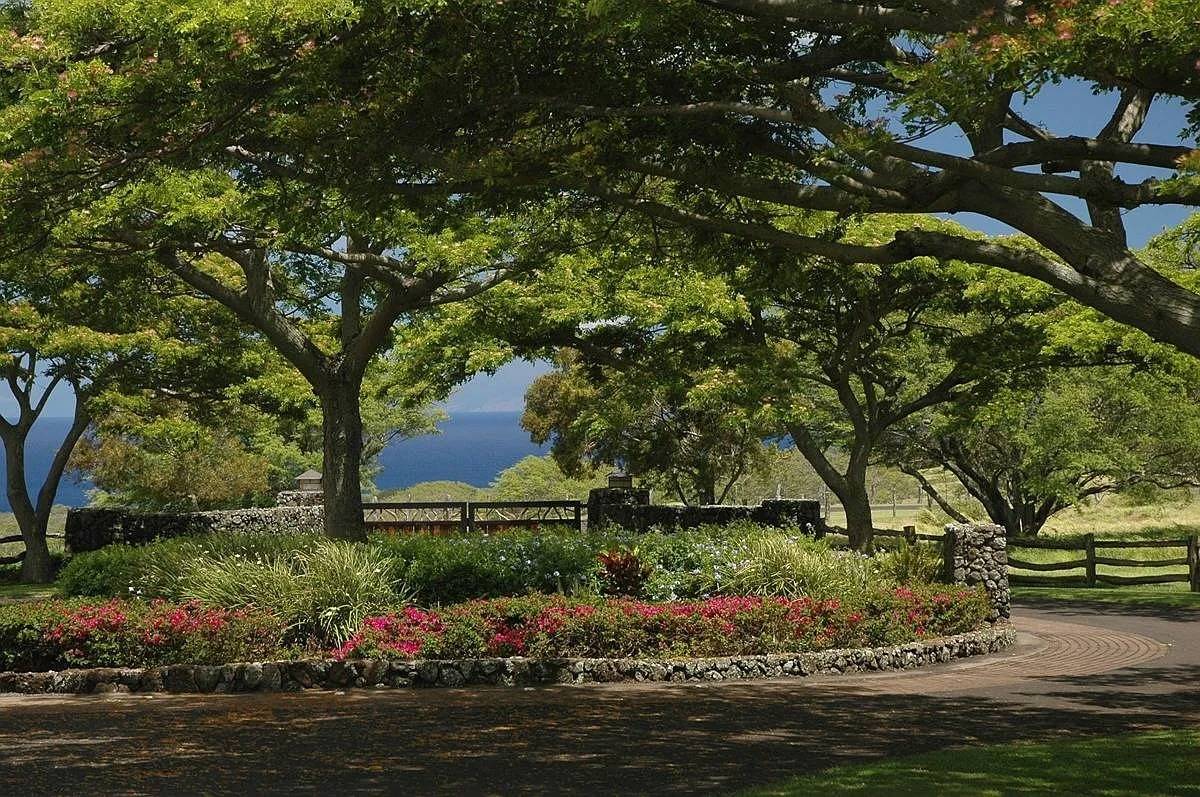 56-153 PUALANI RD, Hawi, HI 96719