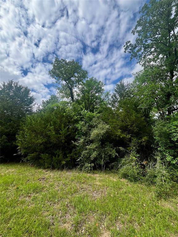 TBD PR 5787, Groesbeck, TX 76642