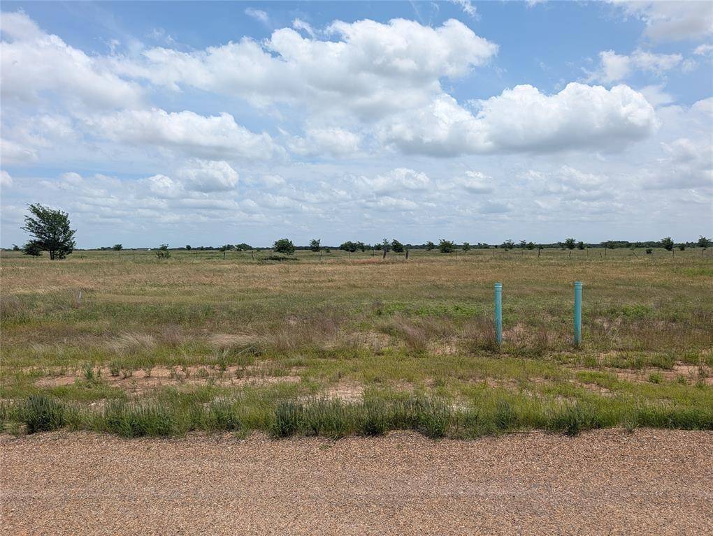 1107 Skyline Street, Mabank, TX 75147