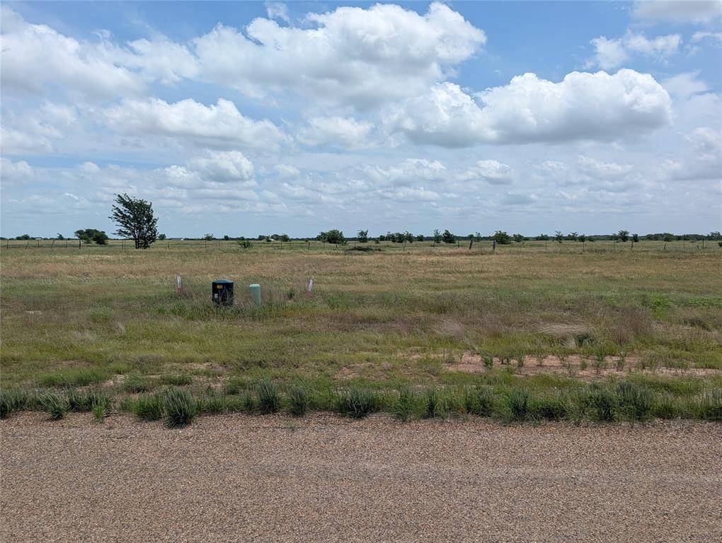 1107 Skyline Street, Mabank, TX 75147