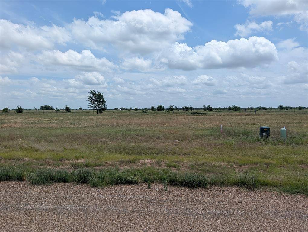 1107 Skyline Street, Mabank, TX 75147