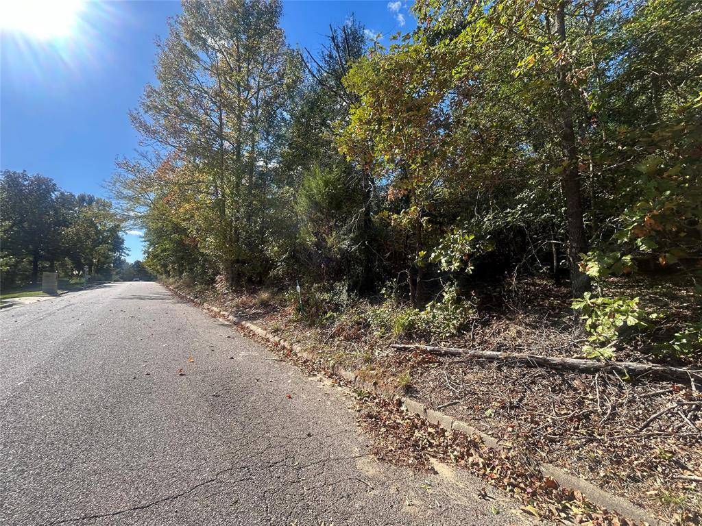 11 Bayshore Drive, Athens, TX 75752