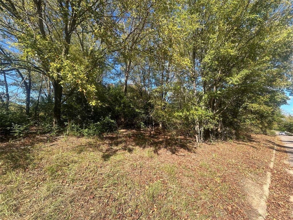 10 Bayshore Drive, Athens, TX 75752