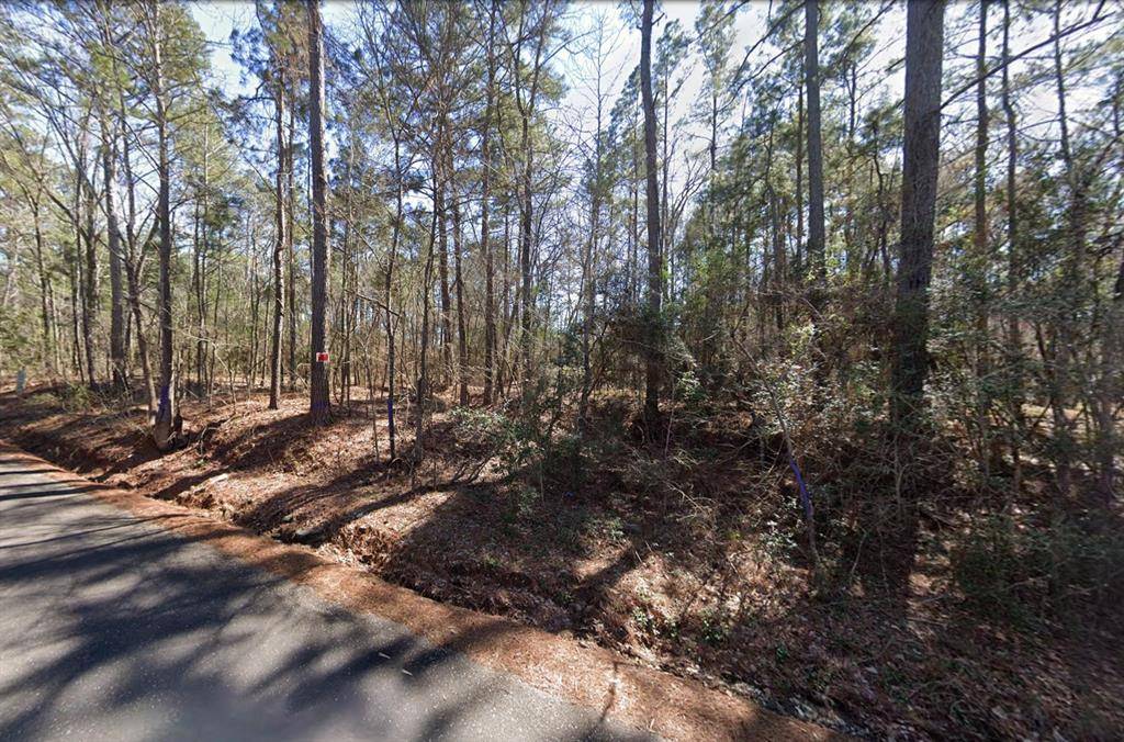 225 Paul Dixon Road, Huntsville, TX 77320