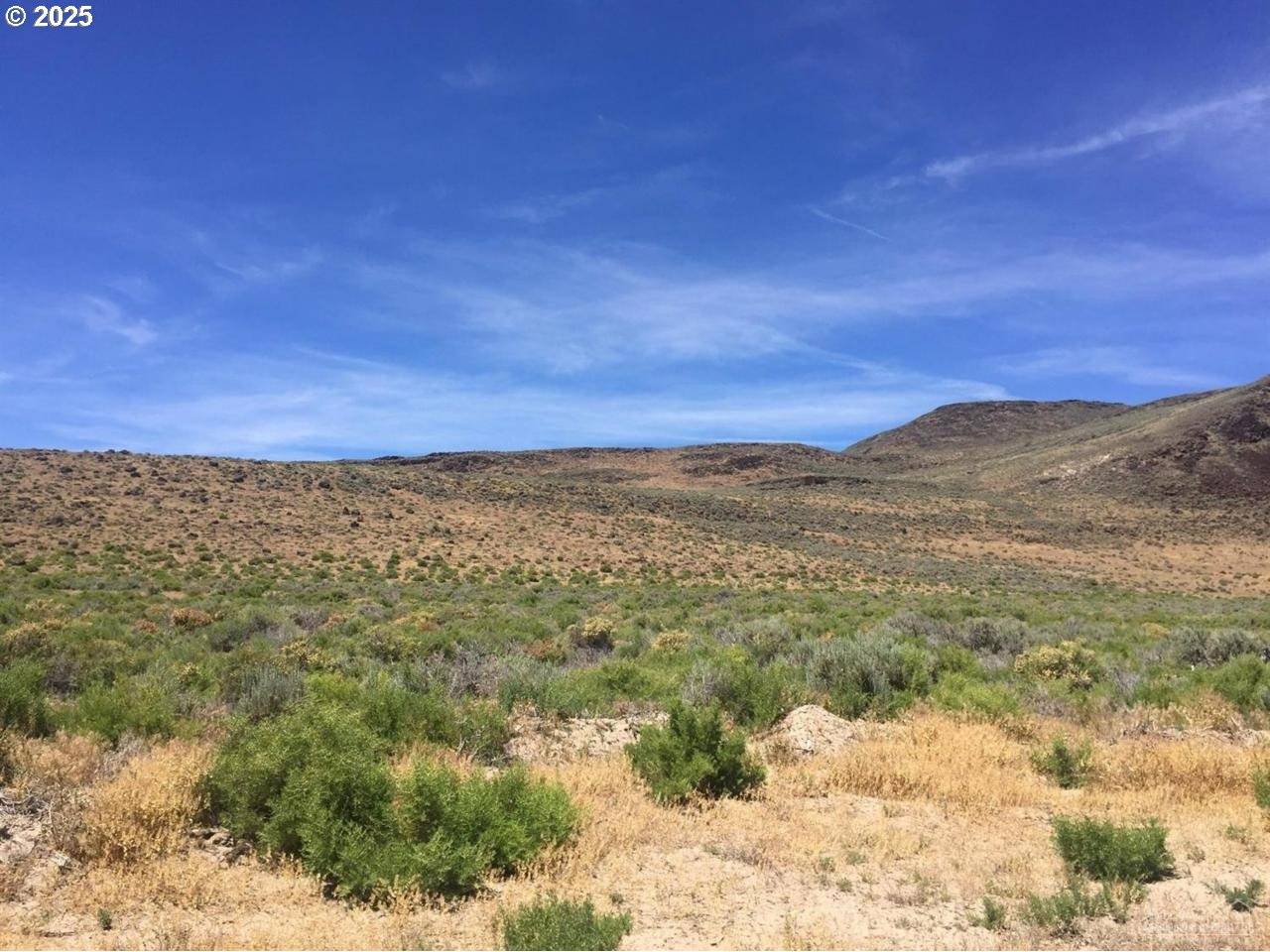 49927 SHUFFIELD RD, Summer Lake, OR 97640