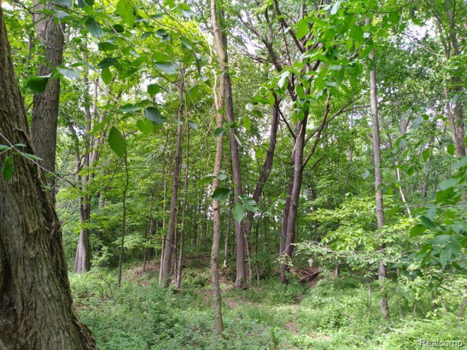 000 Rose Hill Rd, Unadilla Township, MI 48169