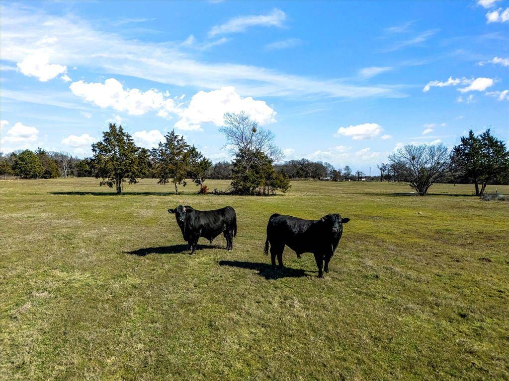 11095 E State Highway 31, Kerens, TX 75144