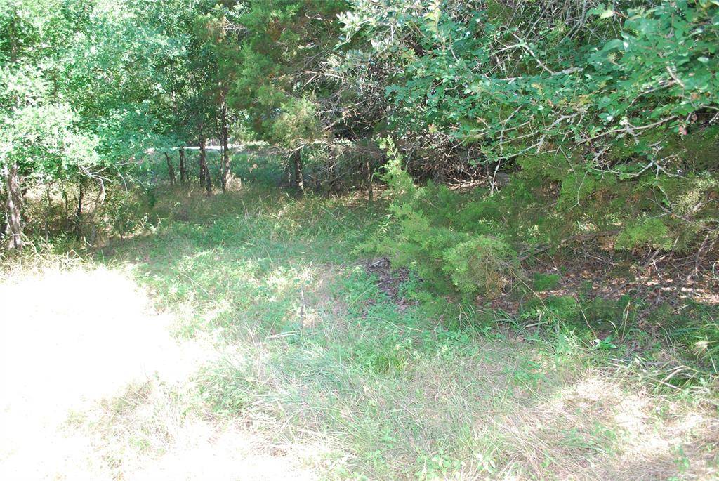 1306 Overlook Drive, Whitney, TX 76692