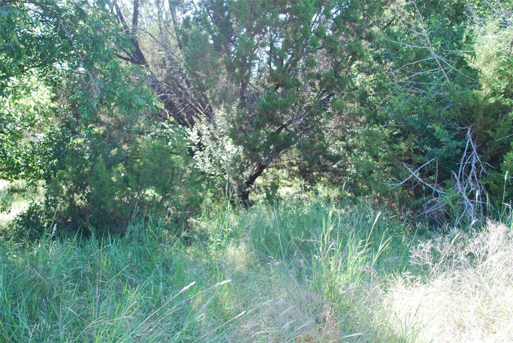 1306 Overlook Drive, Whitney, TX 76692