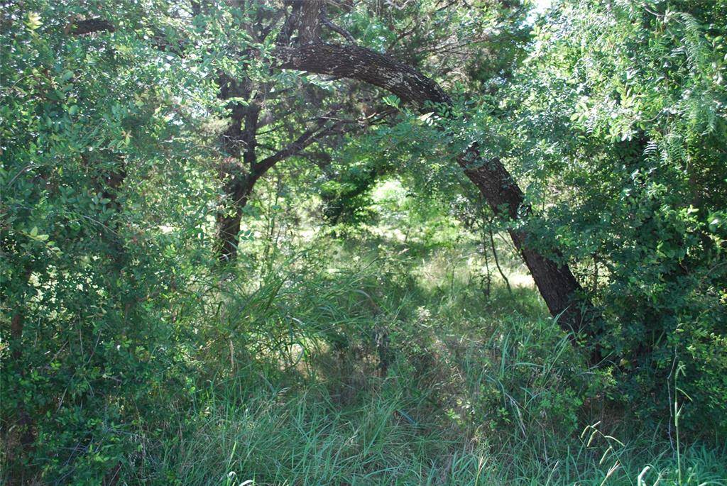 1306 Overlook Drive, Whitney, TX 76692