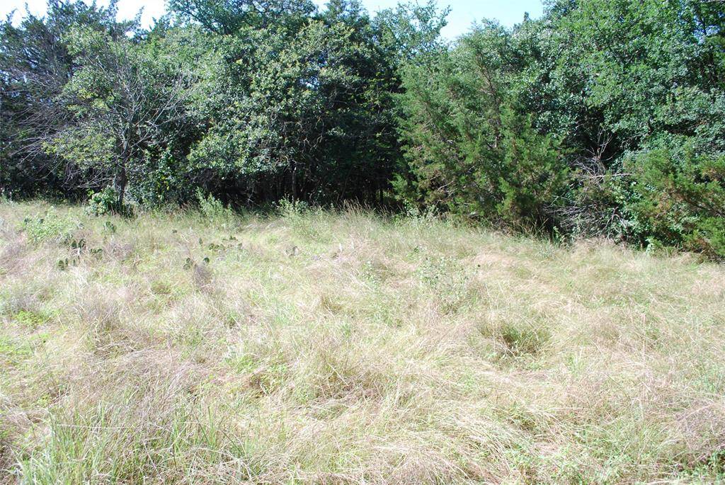 1306 Overlook Drive, Whitney, TX 76692