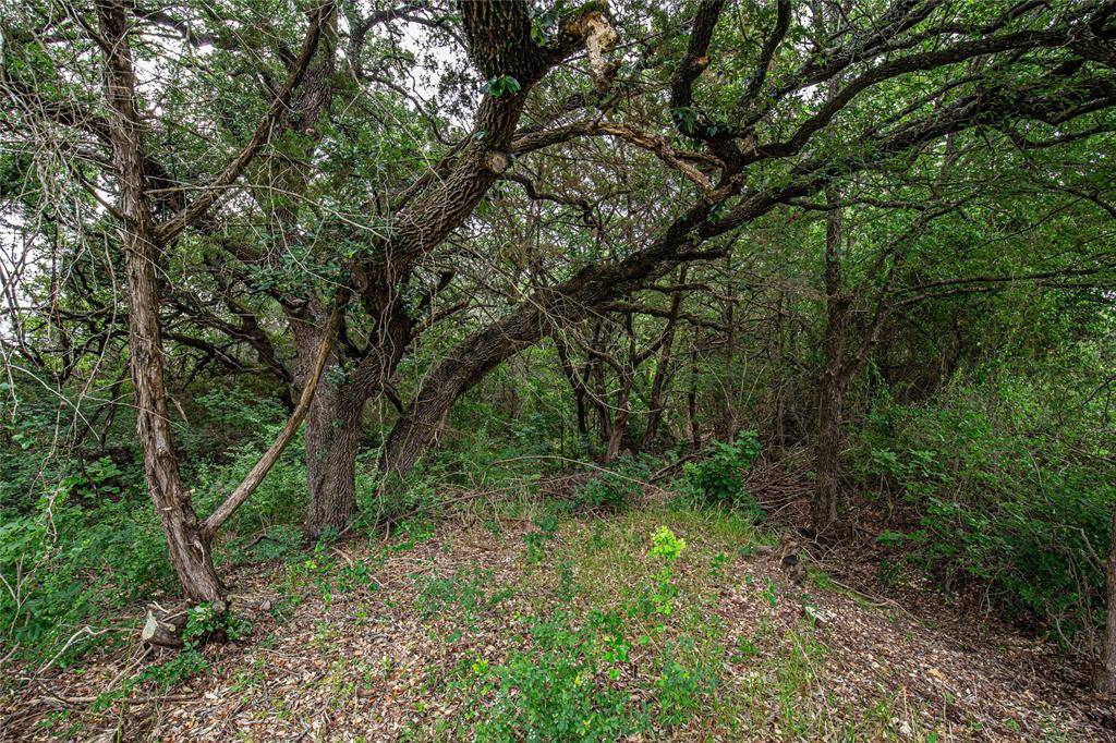 TBD Gholson Road, Waco, TX 76705