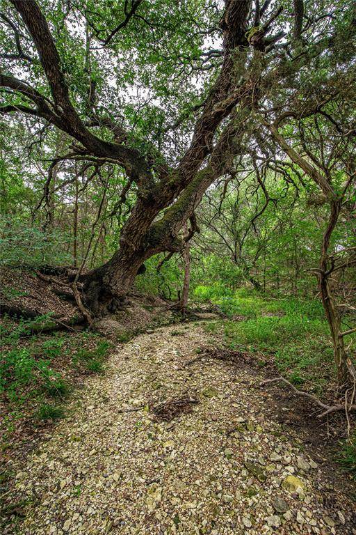TBD Gholson Road, Waco, TX 76705