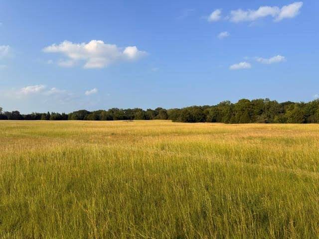 TBD County Road 2500, Eustace, TX 75124