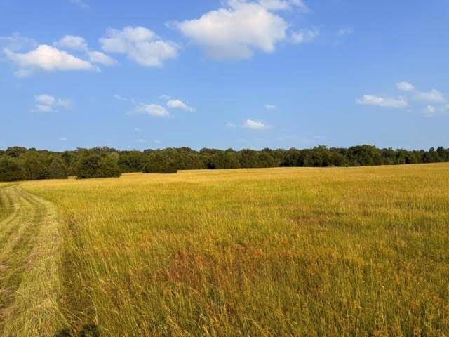 TBD County Road 2500, Eustace, TX 75124