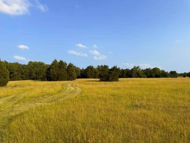 TBD County Road 2500, Eustace, TX 75124