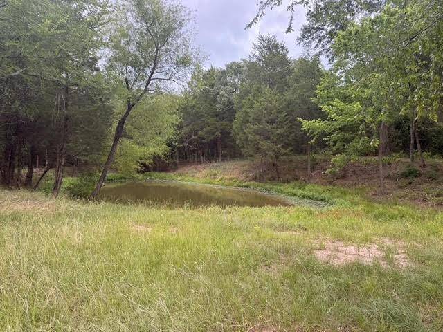 TBD County Road 2500, Eustace, TX 75124
